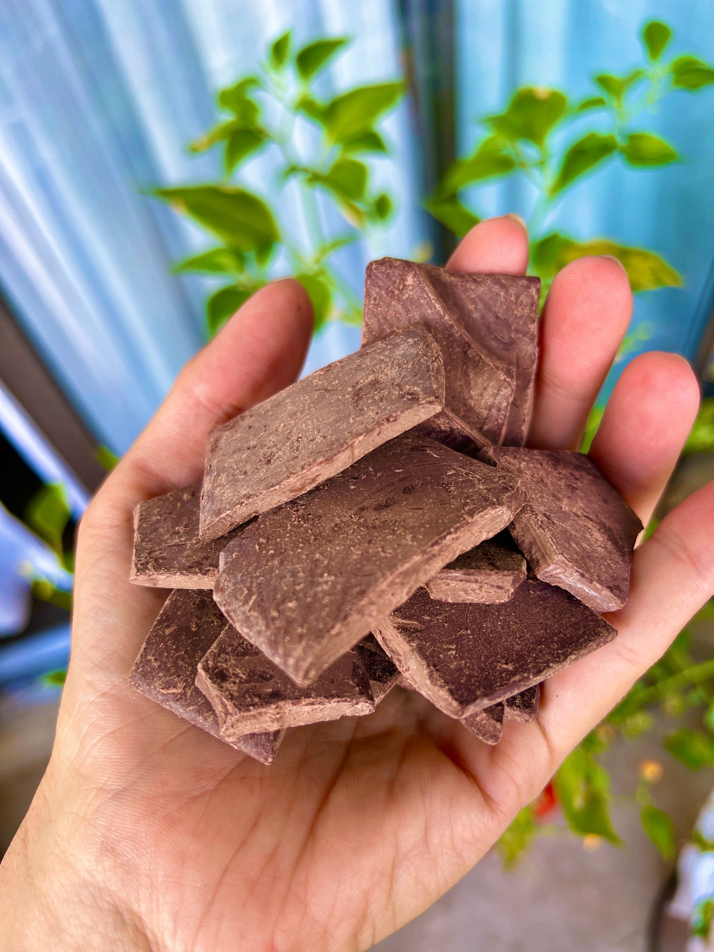 Wholesale Organic Ceremonial Cacao